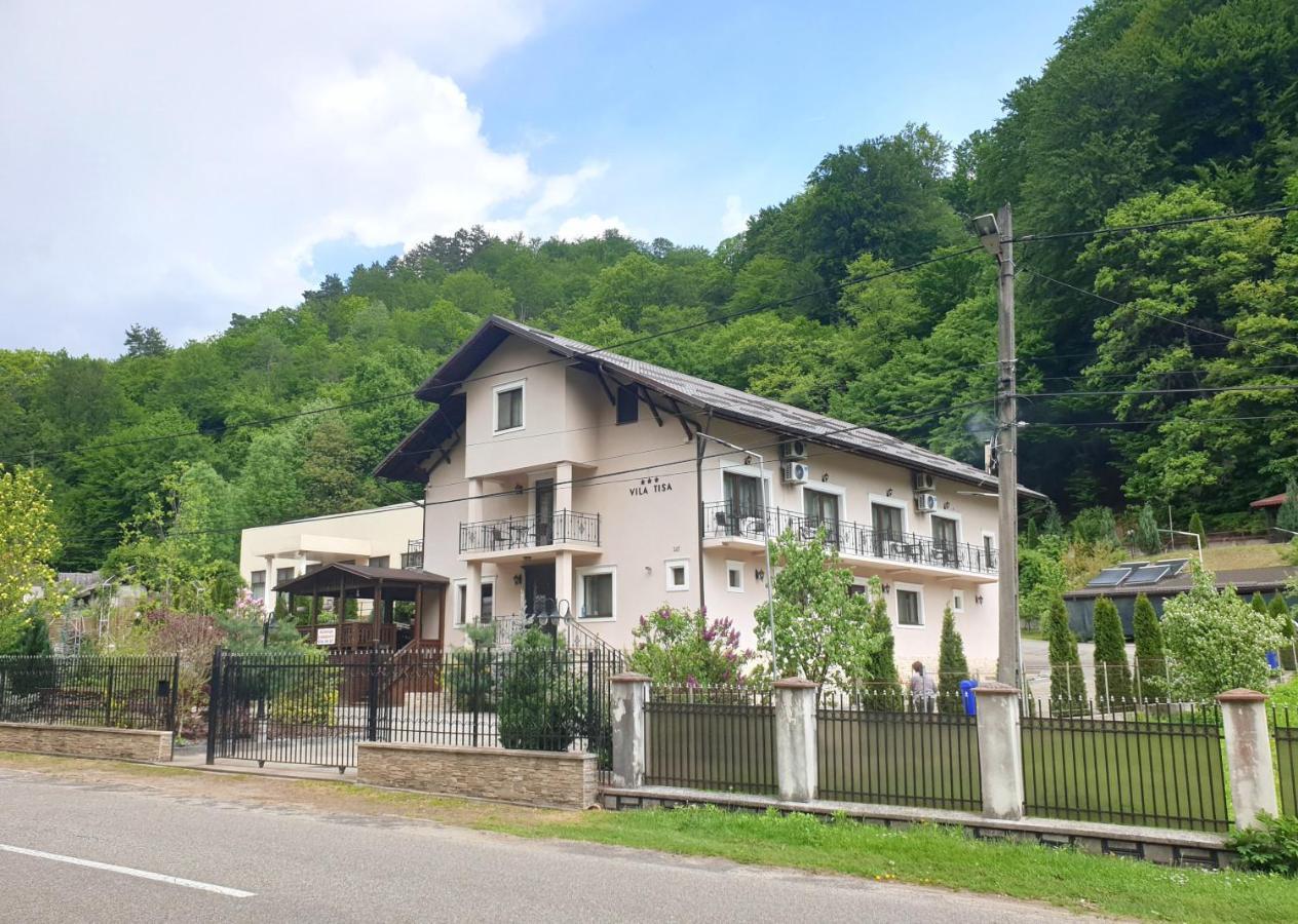 Vila Tisa Tismana Luaran gambar