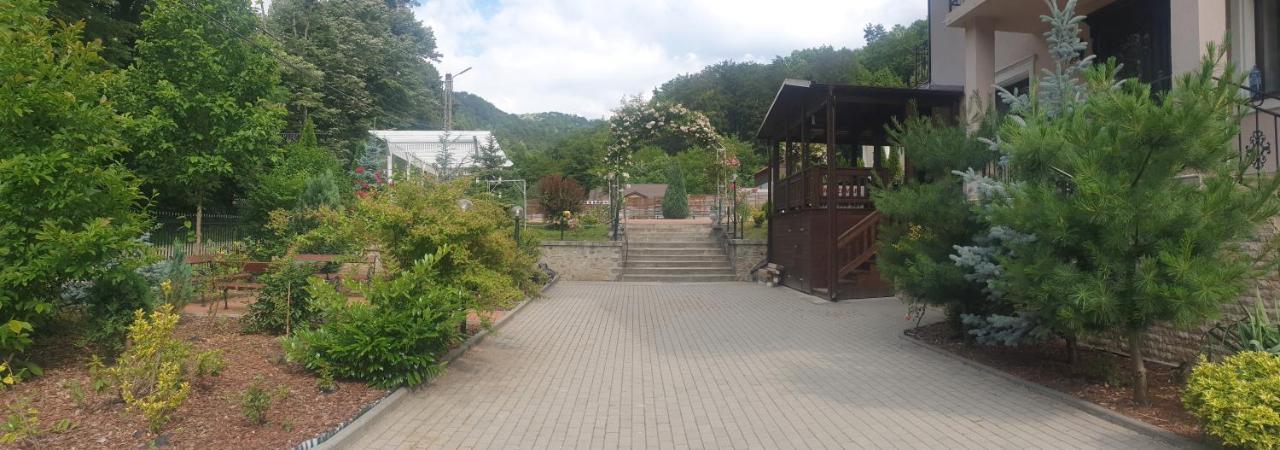 Vila Tisa Tismana Luaran gambar