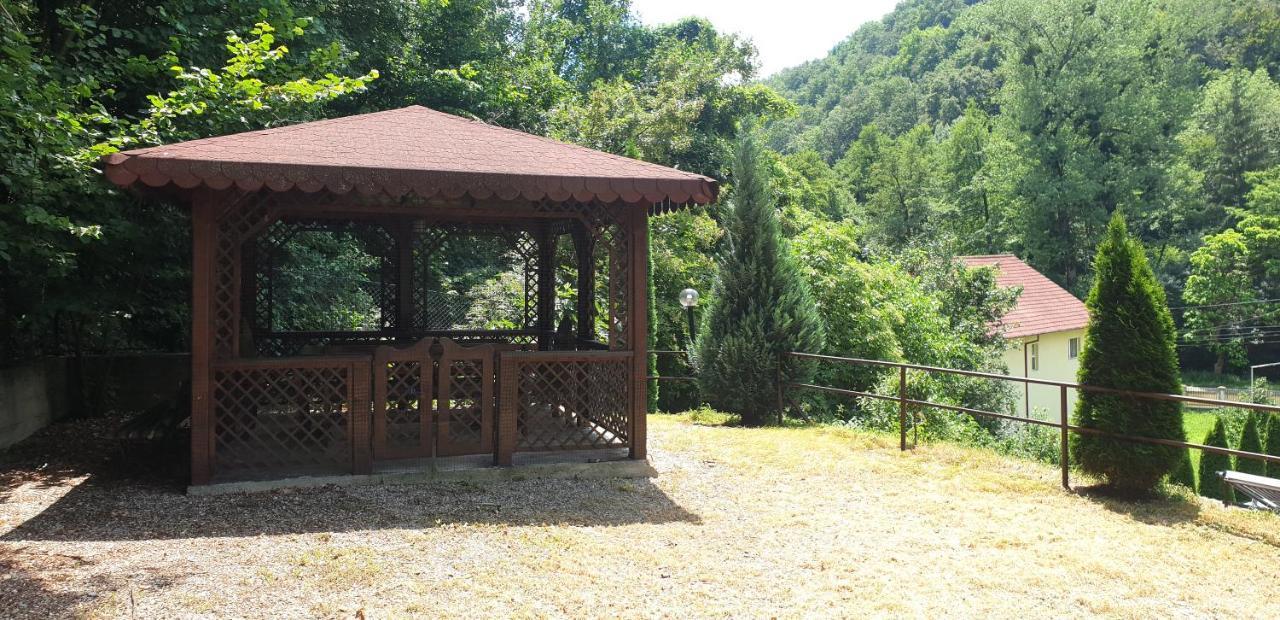 Vila Tisa Tismana Luaran gambar